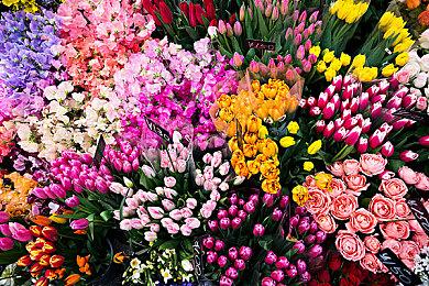 《真人快打1》DLC上线 新故事启动新角色参战